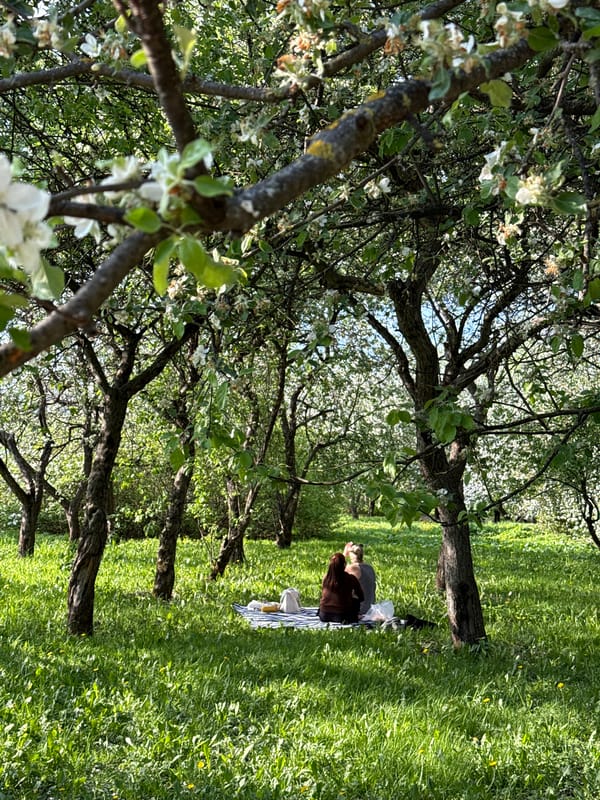 Spring afternoon scenes captured in blooming Moscow park