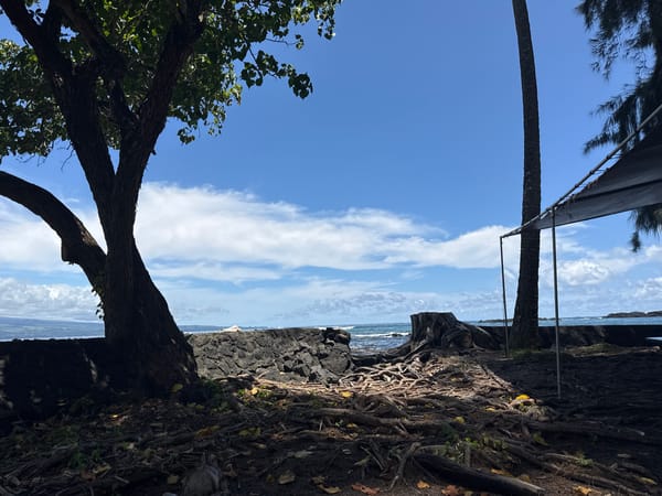 Volcanic shoreline and turquoise water along Hilo's coast
