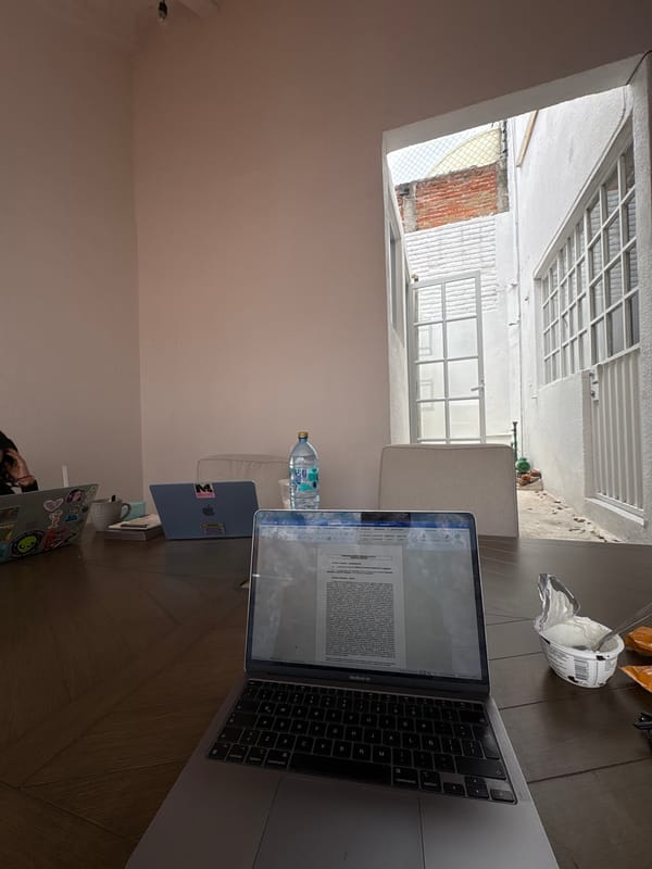 Afternoon laptop sessions across Puebla homes and patios