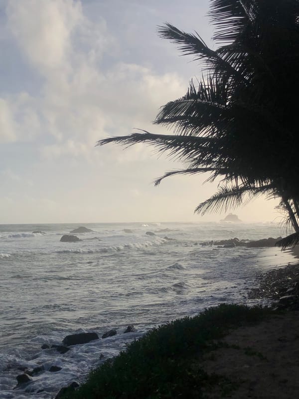 Witnesses capture serene ocean waves at Midigama coastline