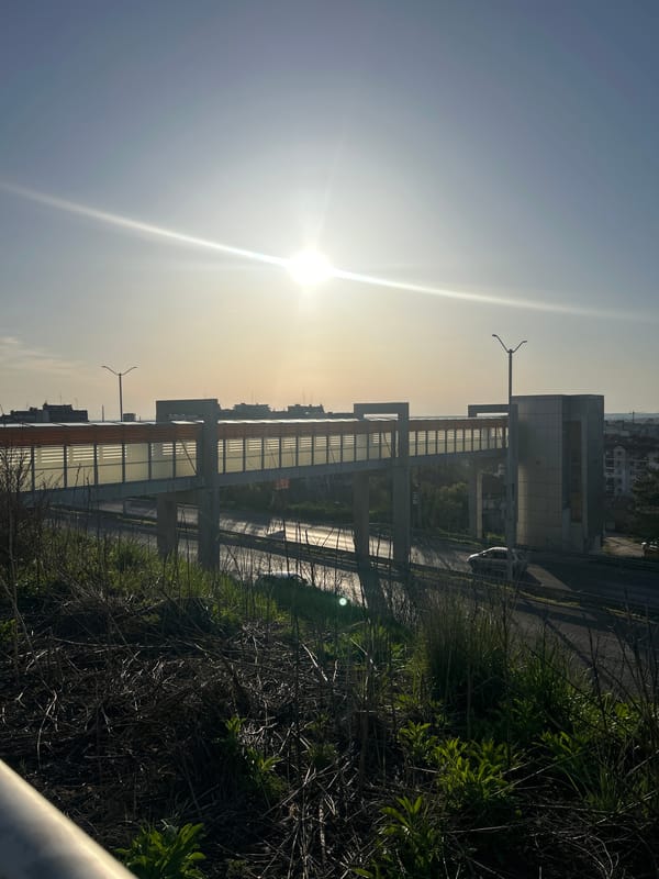 Afternoon photo session captured in Ruse, Bulgaria