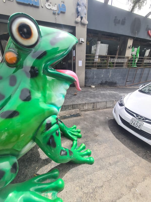 Street scenes documented in Barza Municipality, Syria