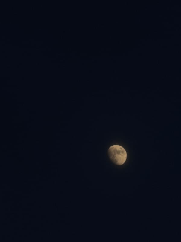 Evening memories: Moon photos, selfies, child's playground visit in Chaikovsky