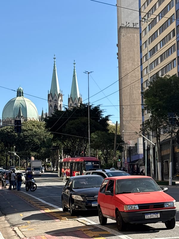 Wandering São Paulo's streets, cathedral to close-up selfies