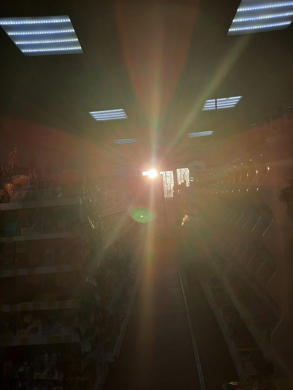 Daily life scenes documented across Krasnogorskoye, Russia