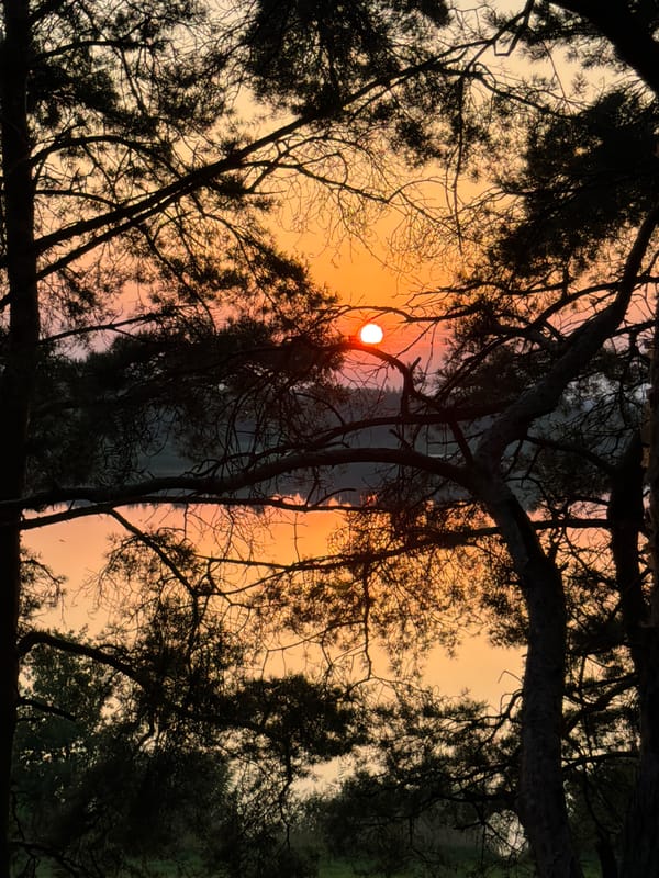 Lake sunset from multiple angles, warm sky and still water