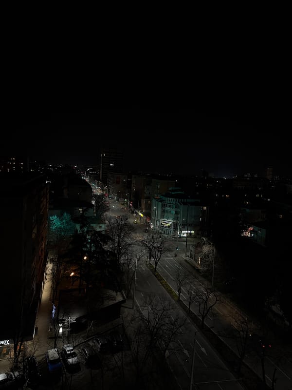 Night cityscape and sleeping dog captured in Stara Zagora