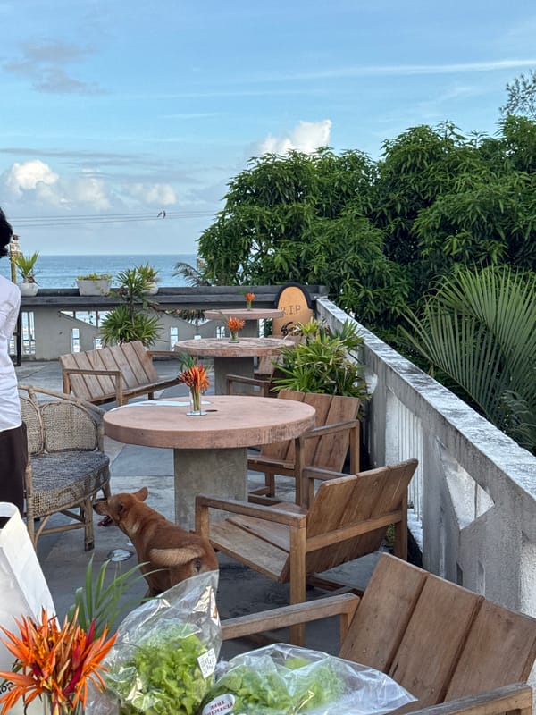 A laid-back afternoon exploring Weligama's coast and rooftops.