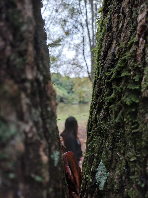 Morning walk through Curitiba parks and streets documented