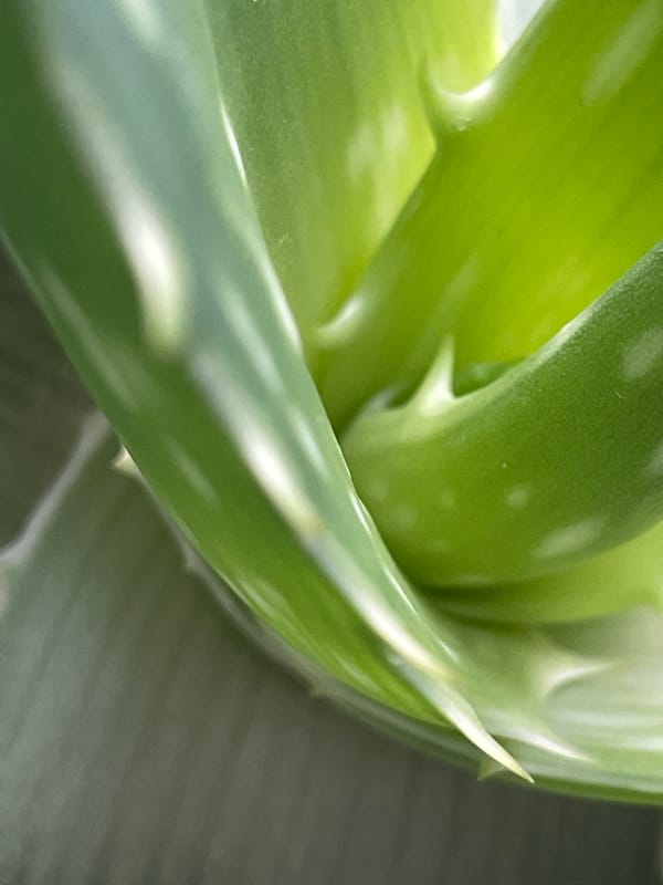 Close-up macro shots of everyday objects and textures in Omsk