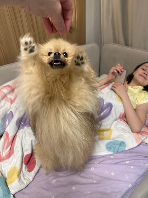 Person Takes Mirror Selfies With Decorative Frames in Votkinsk