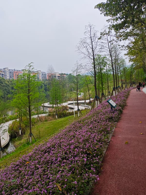 Morning park walkways documented in Chongqing High-tech Zone