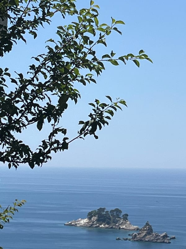 Calm coastal view through tree branches, Stupovi, Montenegro