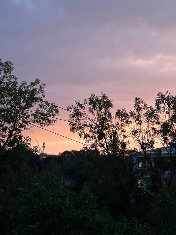 Tashkent at dusk: twilight skies, street scenes, and urban murals