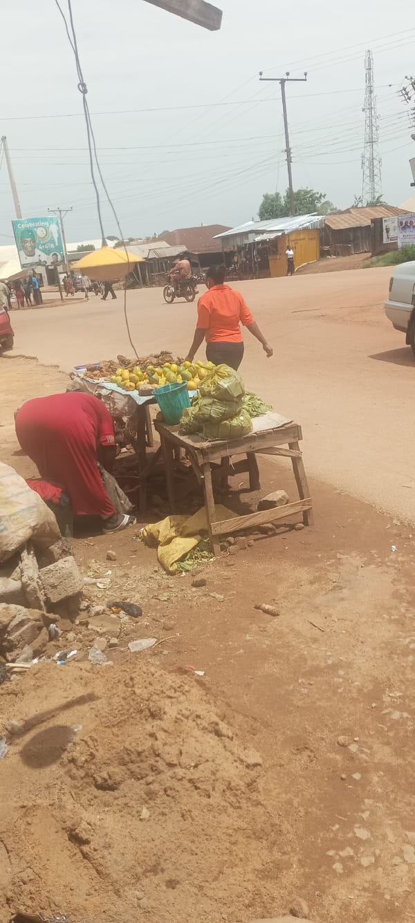 Daily commerce documented at Nigerian market stalls and shops