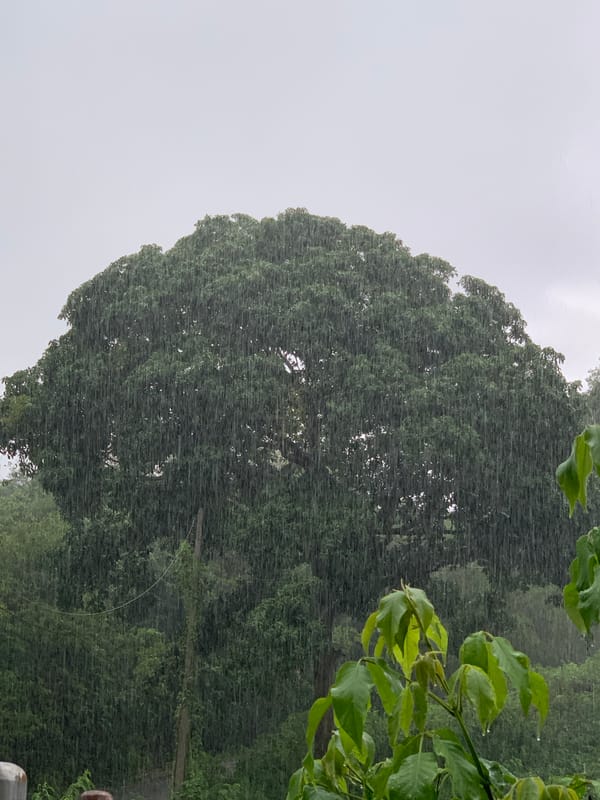 Heavy rainstorm soaks Thai village for nearly two hours