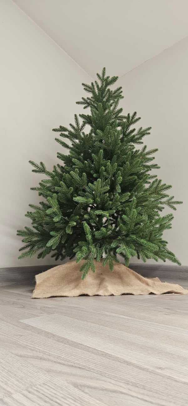 Christmas tree, fresh flowers, and sleeping sled dogs