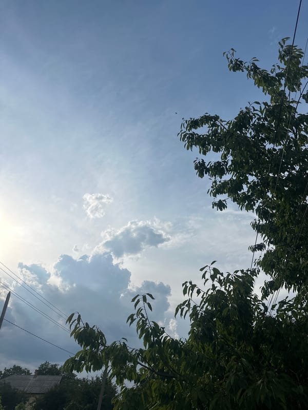 Lazy afternoon in a Moldovan village garden