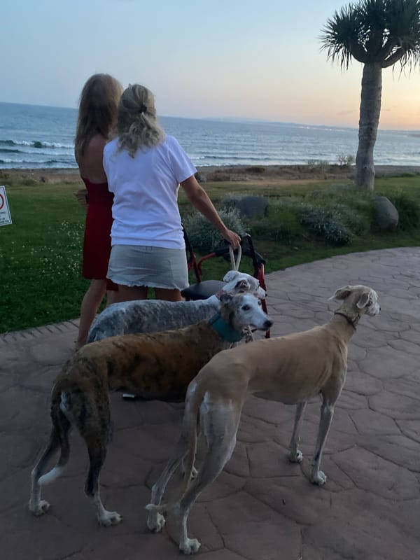 Dusk along Estepona's seafront: greyhounds, candles, and coastal strolls