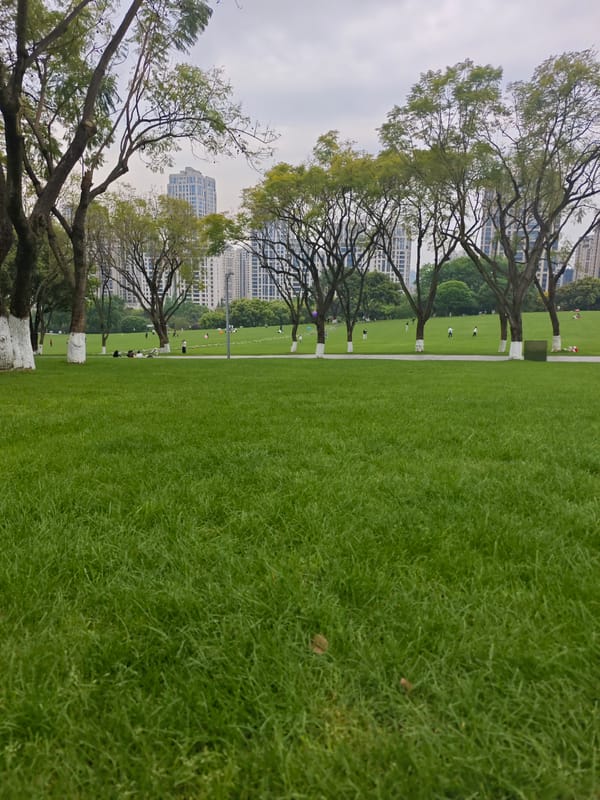 Morning park life documented in Liangjiang, China