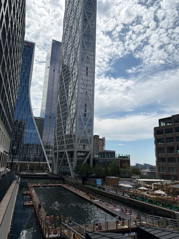 Open-water swimming in Canary Wharf's dock on a summer afternoon