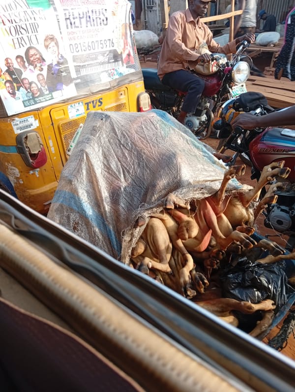 TVS three-wheeler spotted in unknown city location