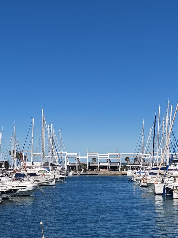 Coastal town life documented across Dénia's waterfront and marina