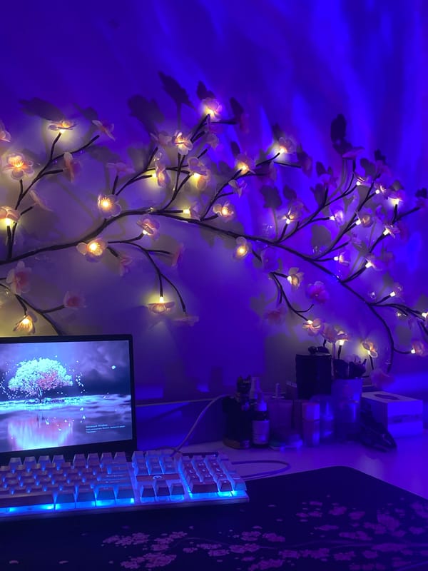 Illuminated artificial plant display observed in Poznan residence