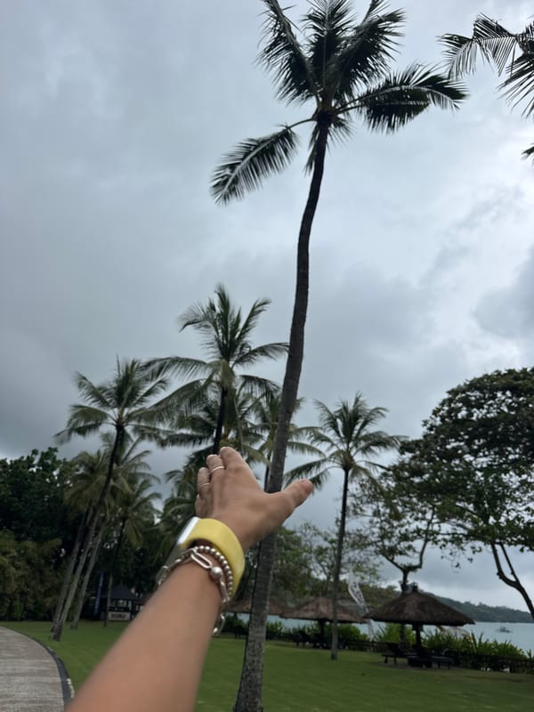 Person explores tropical vegetation in predawn Kuta Selatan