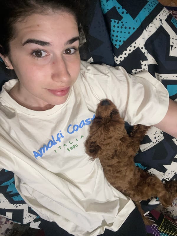 Sunday afternoon cuddles with brown poodle in Sofia apartment