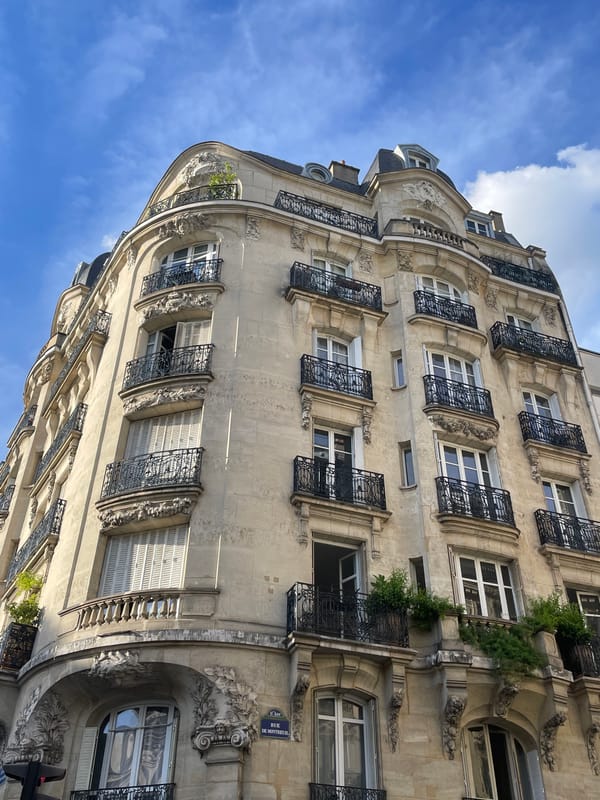 Witness documents sunny afternoon scenes of classic Parisian architecture