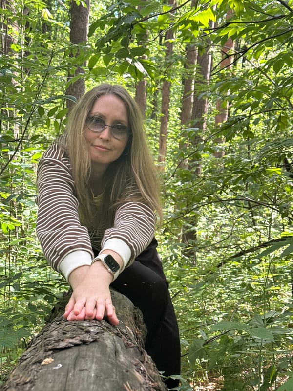 Summer morning in Chaikovsky: forests, city streets, and slow hours