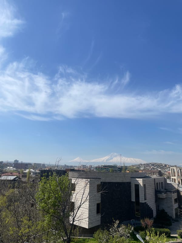 Spring blooms captured across Yerevan with Mount Ararat backdrop