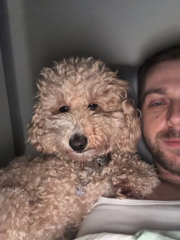 Man and poodle share quiet moment in London