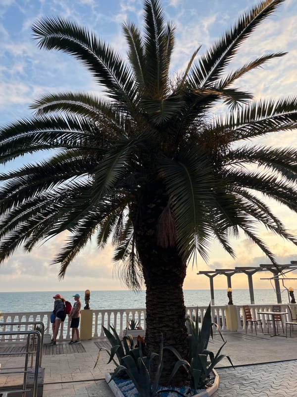 Family enjoys afternoon sightseeing and beach time in Sochi