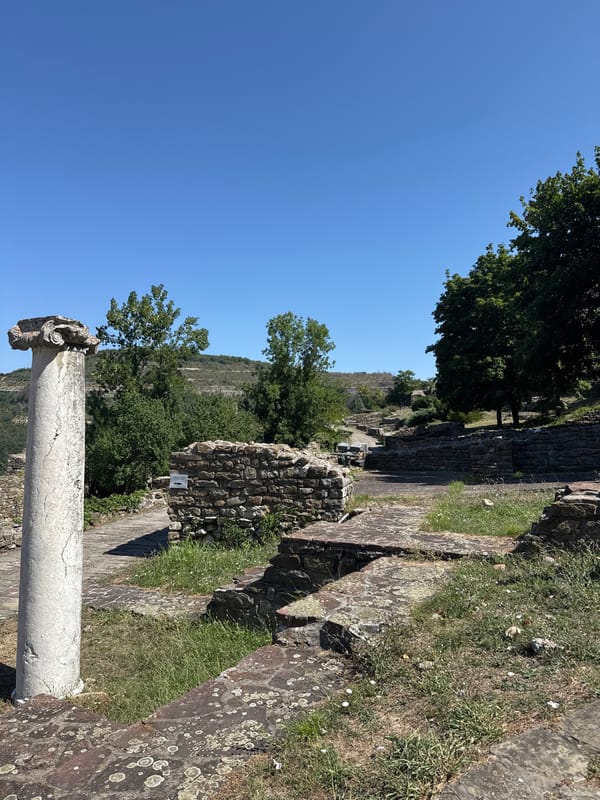 Goats and school kids share Tsarevets Fortress ruins