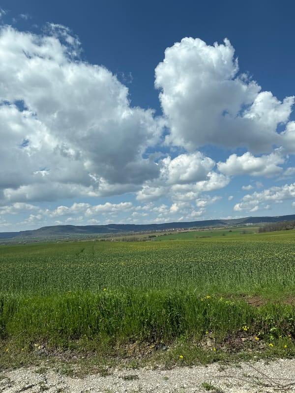 Rural landscape documented in Slavyani, Bulgaria on sunny spring day