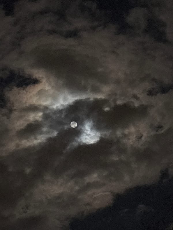 Evening scenes captured across Varna: moon, food, streetscape
