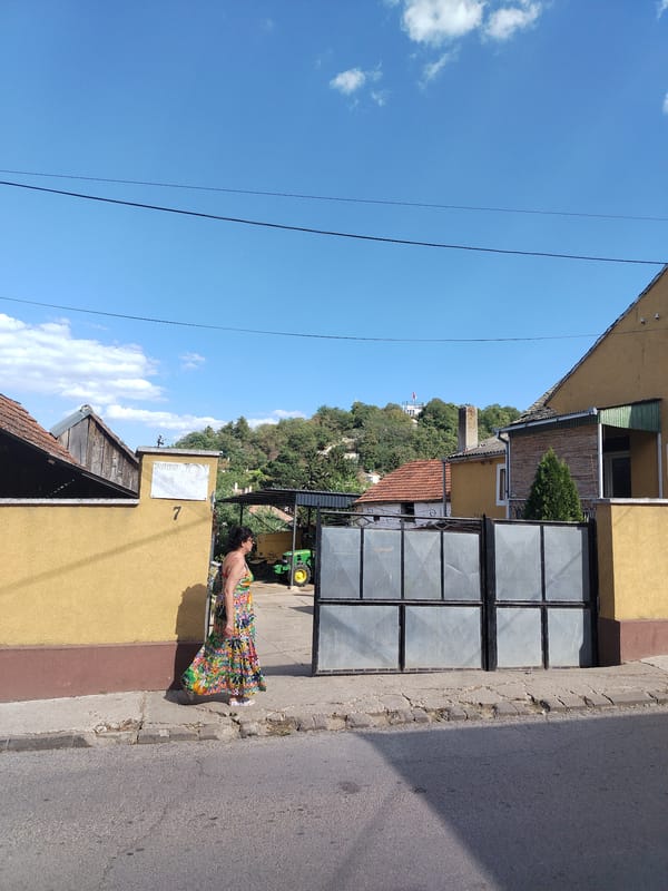 Wandering the quiet backstreets of Sremski Karlovci