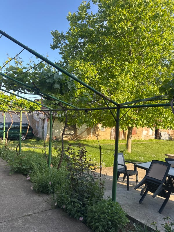 Everyday outdoor scenes documented in Bulgarian village