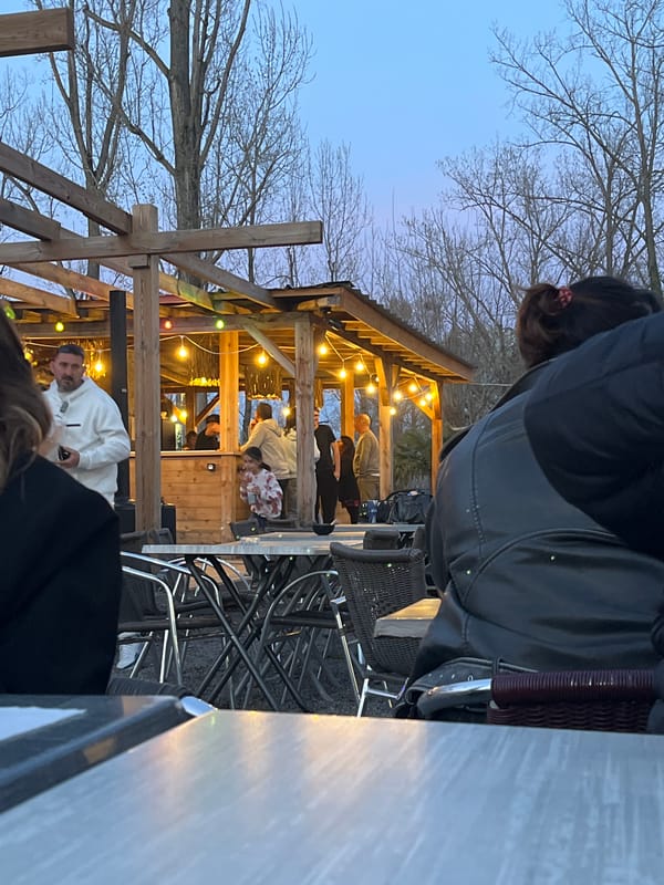 Woman documents evening visit to Veauchette restaurant