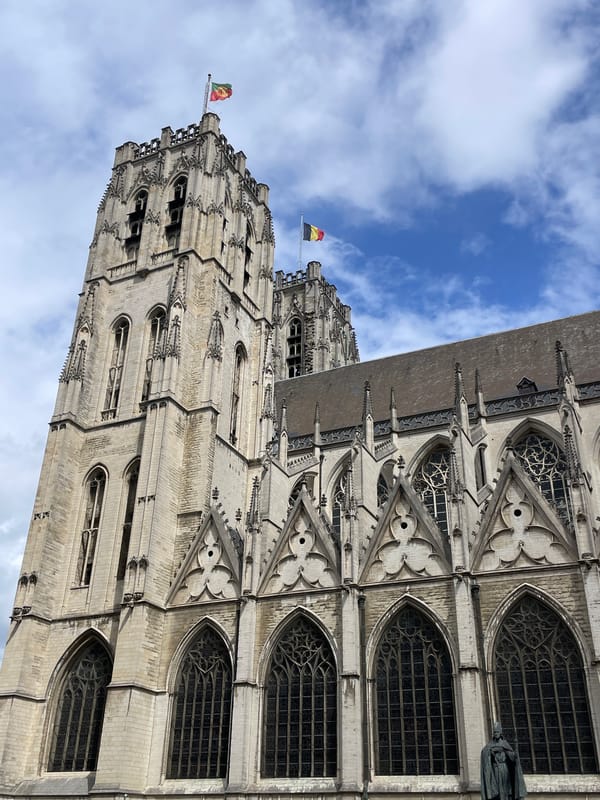 Observer documents Gothic and modern architecture across Brussels
