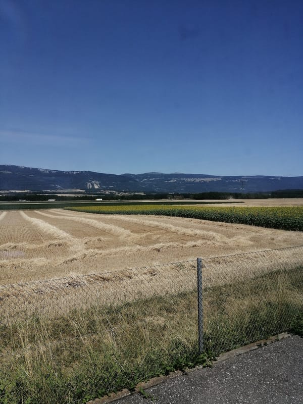 Train ride through Swiss and European countryside on a sunny morning