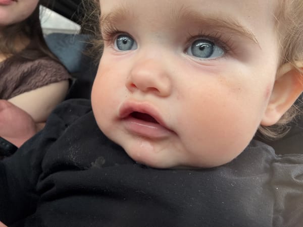 Family drive through Koblenz with baby portraits and city views