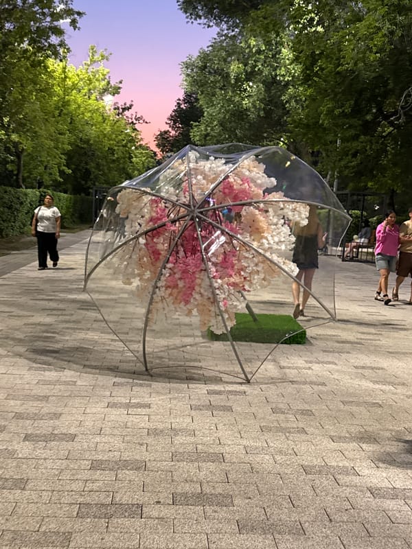 Flower-covered installations light up a Petropavl park at dusk