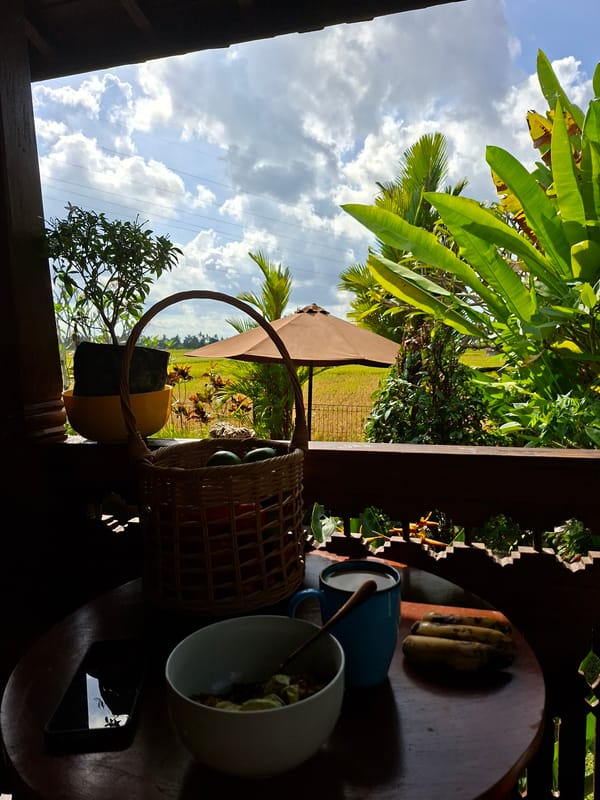 Morning breakfast scene with overripe bananas documented in Ubud