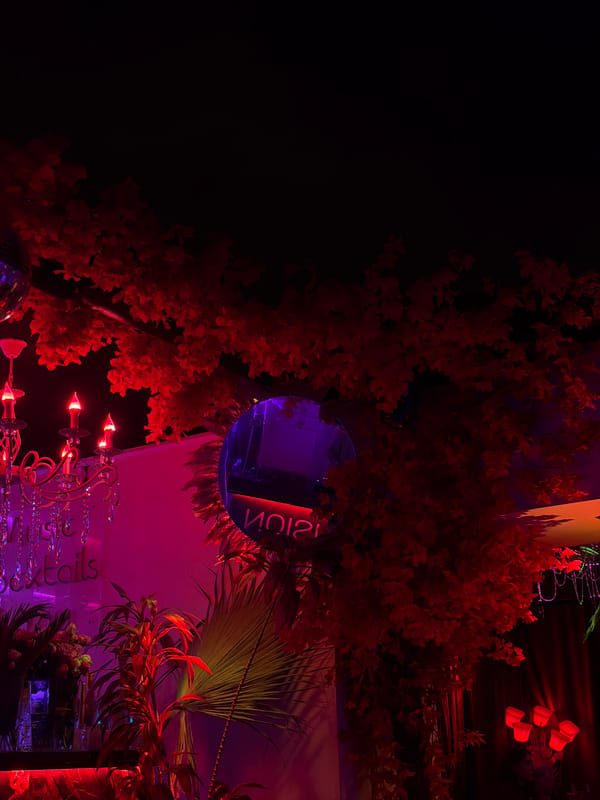 Nightclub interior captured in Yerevan featuring vibrant lighting, decorations