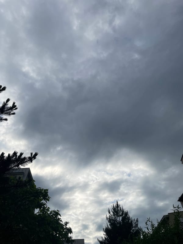 Witness documents cloudy afternoon with urban nature and playground scenes