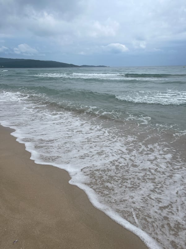 Quiet, overcast morning on the Primorsko shoreline