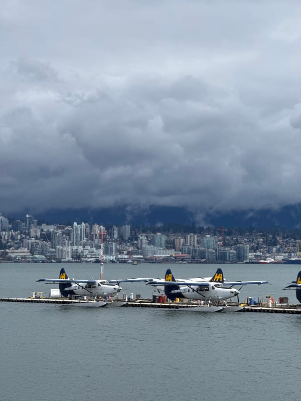 Vancouver Harbor Evening: Seaplanes, Urban Activity, Marine Life